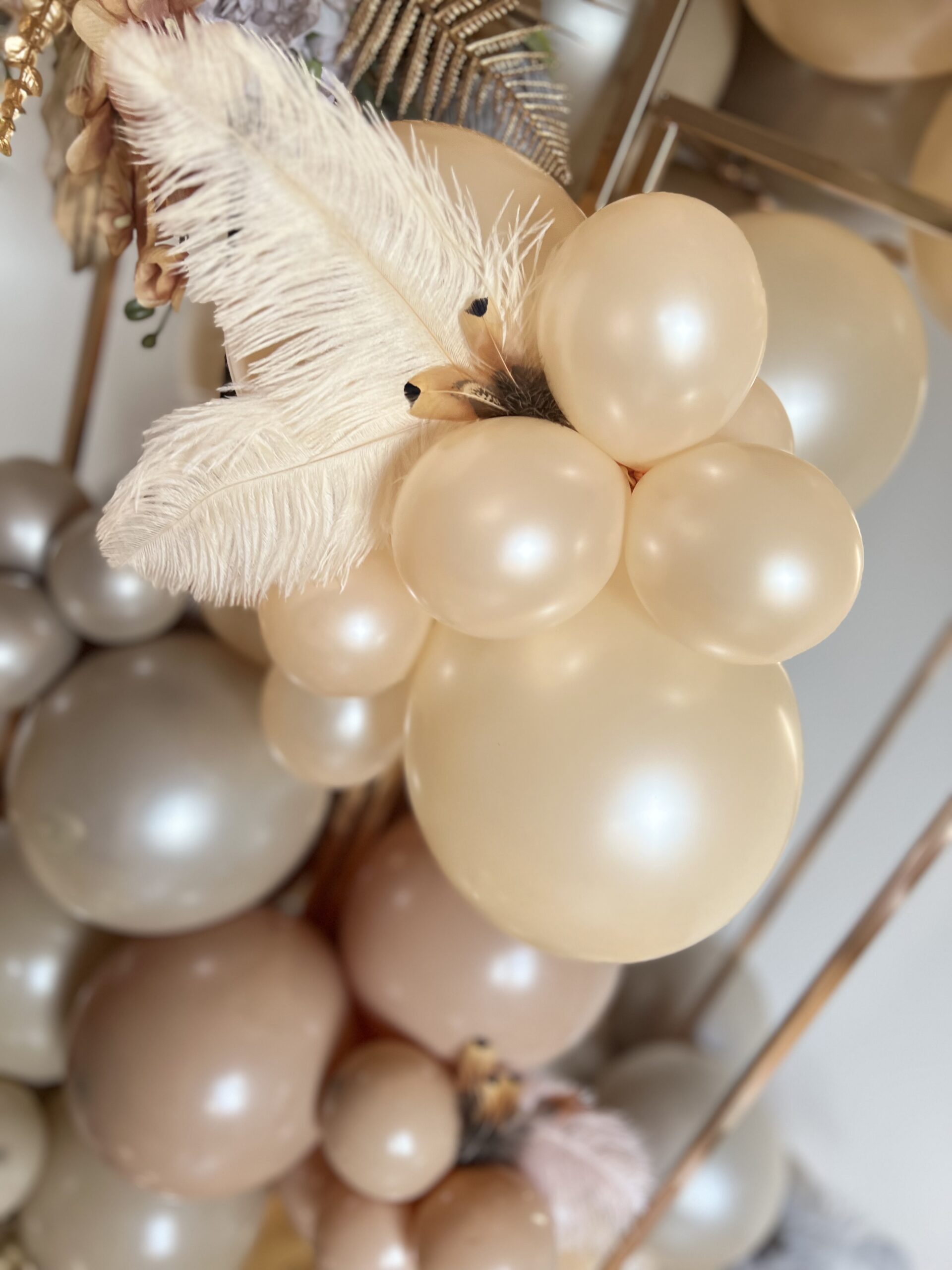 Wedding pearl&pheasant feathers balloon arch.